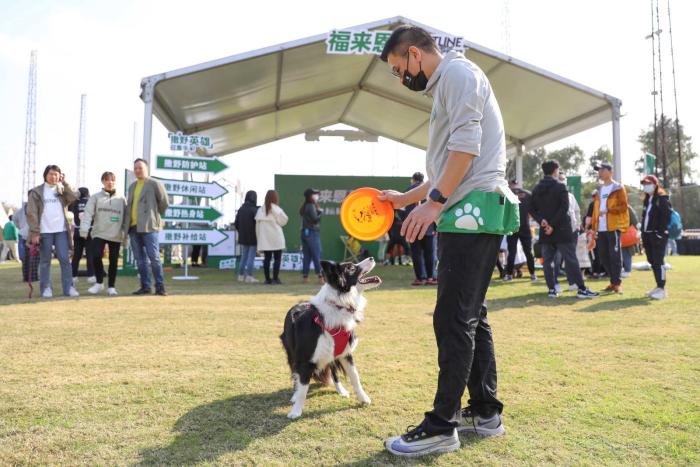 与爱犬默契值即刻拉满，狗巴迪勇士赛上海站开
