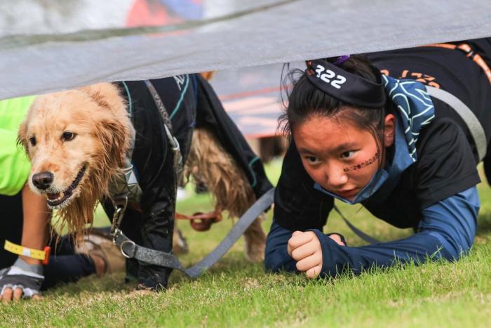 与爱犬默契值即刻拉满，狗巴迪勇士赛上海站开