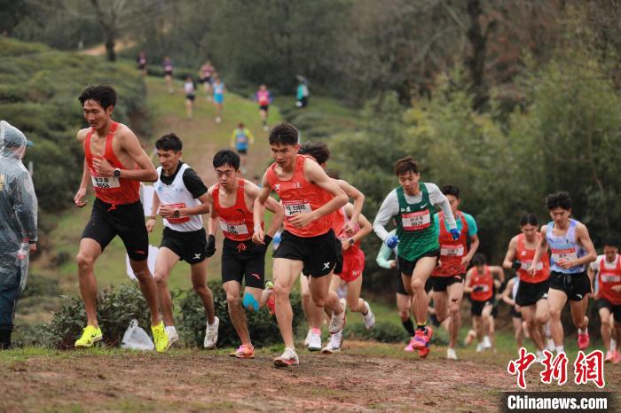 2025全国越野跑锦标赛暨黄山赛事同步开跑 45支队